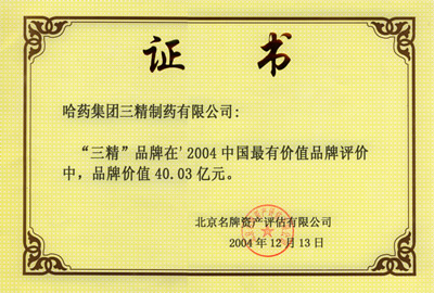 2004年伟易博·(中国区)官方网站品牌价值证书